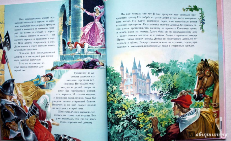 Иллюстрация 17 из 20 для Лучшие сказки для маленьких принцесс - Перро, Гауф, де | Лабиринт - книги. Источник: Сидоренко  Сергей