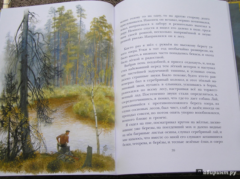Иллюстрация 45 из 46 для Арктур - гончий пёс - Юрий Казаков | Лабиринт - книги. Источник: Shurshun