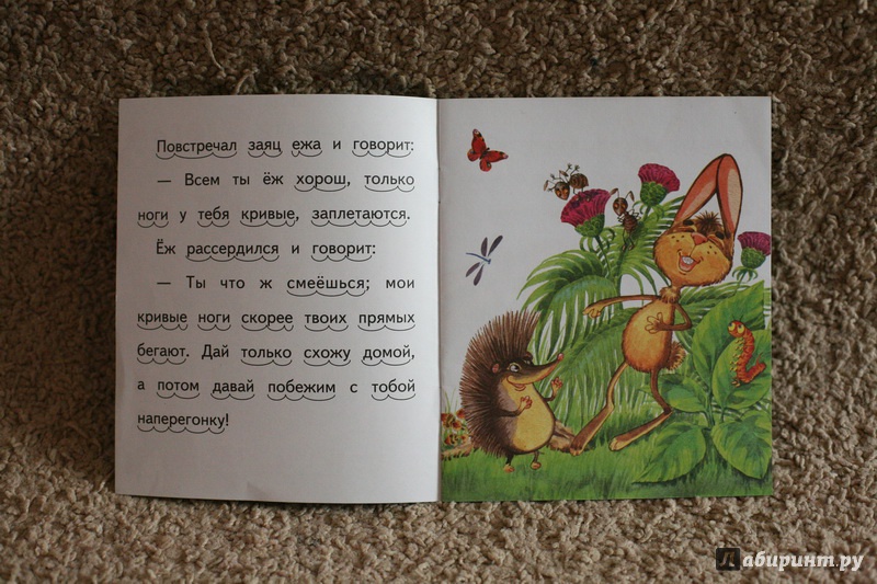 Иллюстрация 11 из 31 для Ёж и заяц - Лев Толстой | Лабиринт - книги. Источник: дважды