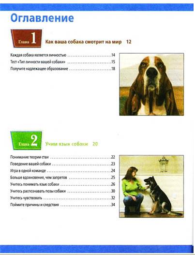 Иллюстрация 3 из 20 для Дрессировка собак. Визуальное пособие - Сара Ходсон | Лабиринт - книги. Источник: Золотая рыбка