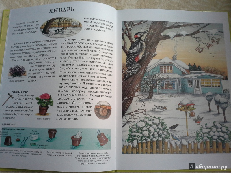 Иллюстрация 21 из 43 для Год в саду - Сюзанна Риха | Лабиринт - книги. Источник: Селезнева  Оксана
