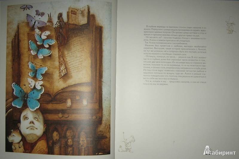 Иллюстрация 38 из 49 для Алиса в доме волшебника - Кирилл Челушкин | Лабиринт - книги. Источник: Трухина Ирина