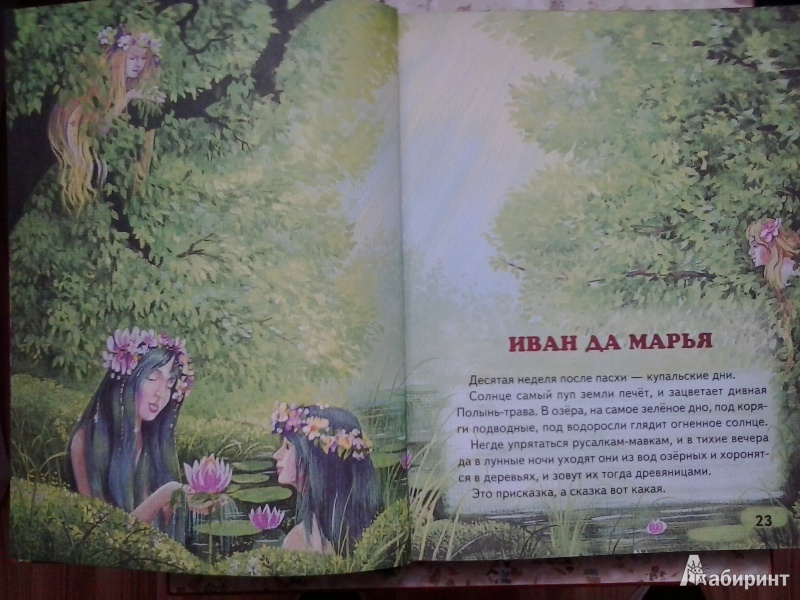 Иллюстрация 5 из 17 для Русалочьи сказки - Алексей Толстой | Лабиринт - книги. Источник: Dogdik