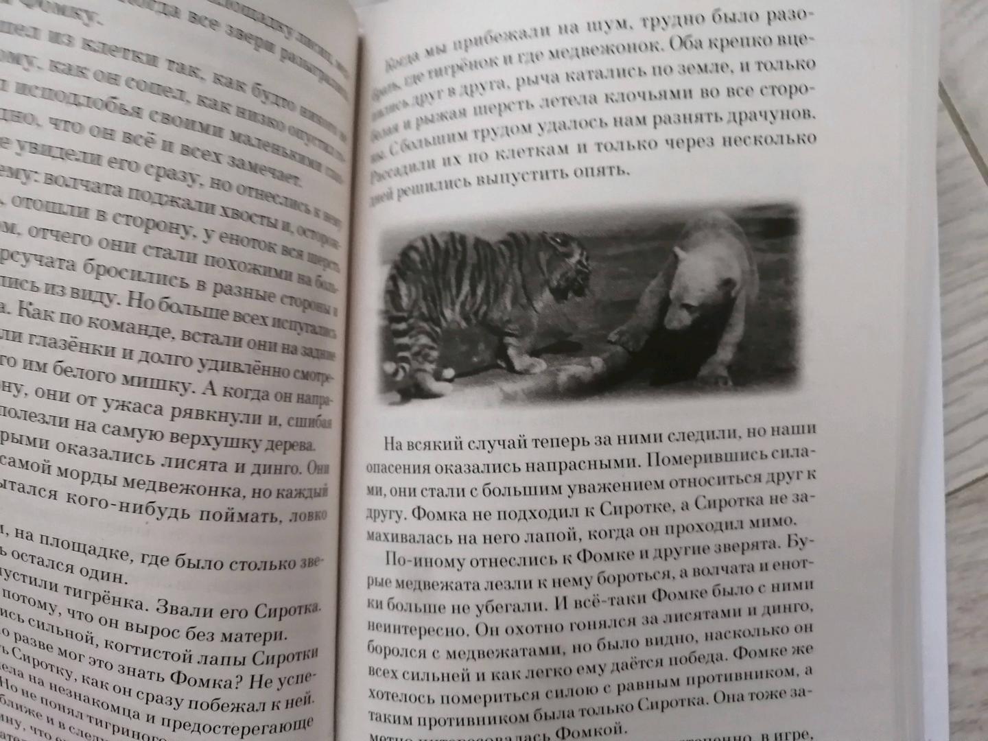 Иллюстрация 14 из 14 для Питомцы зоопарка - Вера Чаплина | Лабиринт - книги. Источник: Касатова Катерина