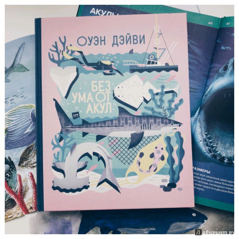 Иллюстрация 9 из 48 для Без ума от акул - Оуэн Дэйви | Лабиринт - книги. Источник: Николаева  Елена
