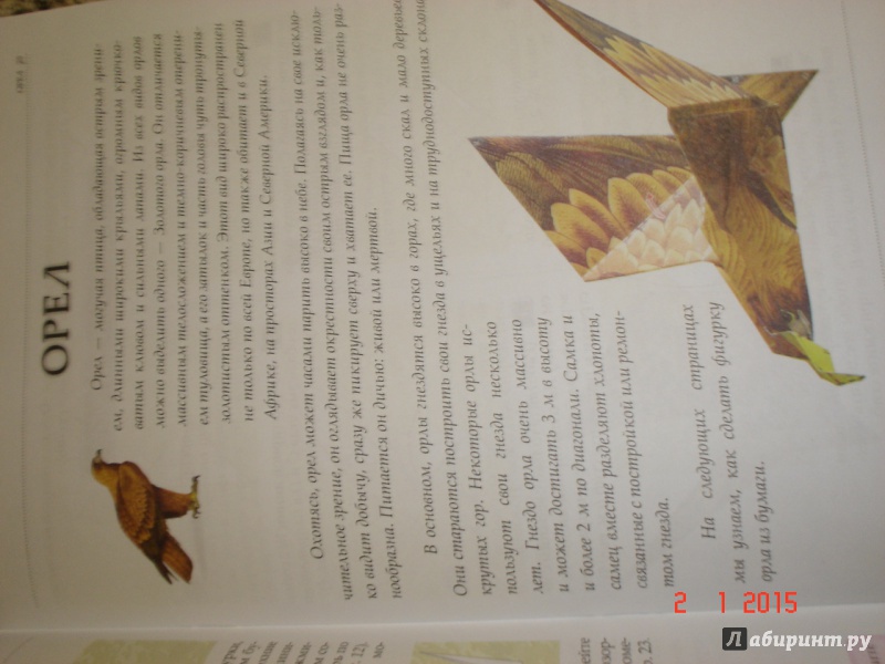 Иллюстрация 5 из 50 для Оригами. Волшебство из бумаги. Книга 4 | Лабиринт - книги. Источник: Дева НТ