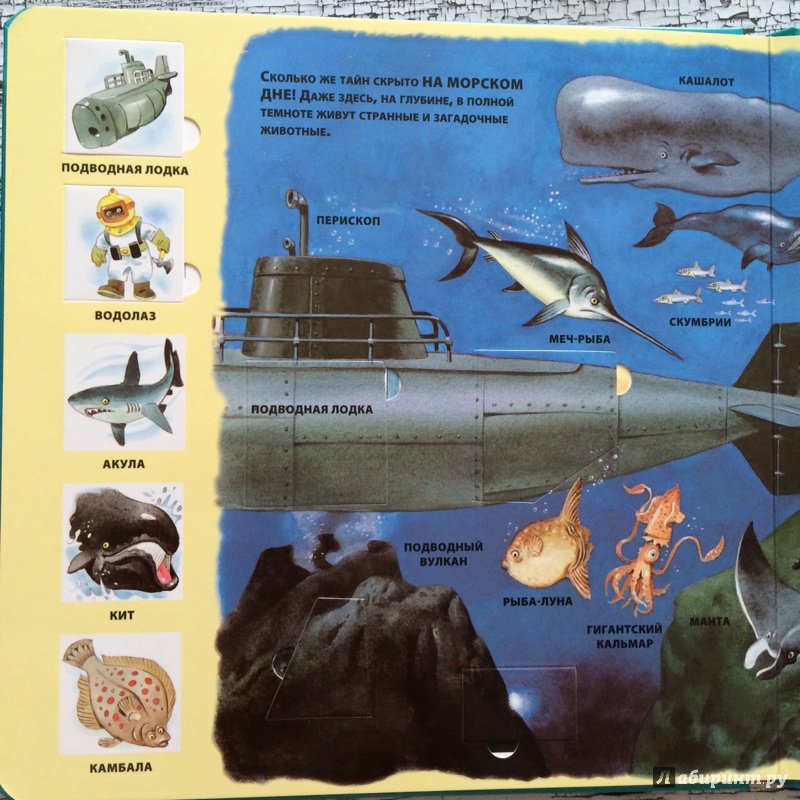 Иллюстрация 59 из 72 для На море | Лабиринт - книги. Источник: Лабиринт