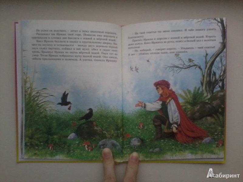 Иллюстрация 5 из 34 для Сказки о принцессах - Гримм, Топелиус | Лабиринт - книги. Источник: Данилка
