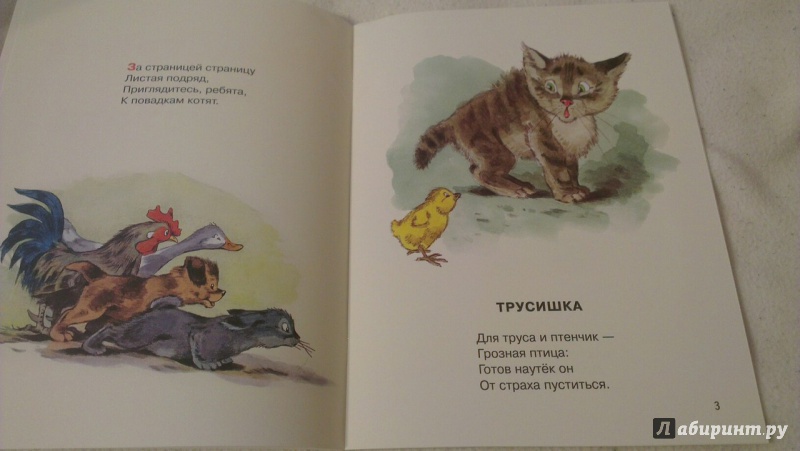 Иллюстрация 45 из 64 для Посмотрите какие котята - Владимир Матвеев | Лабиринт - книги. Источник: Кузнецова  Елена