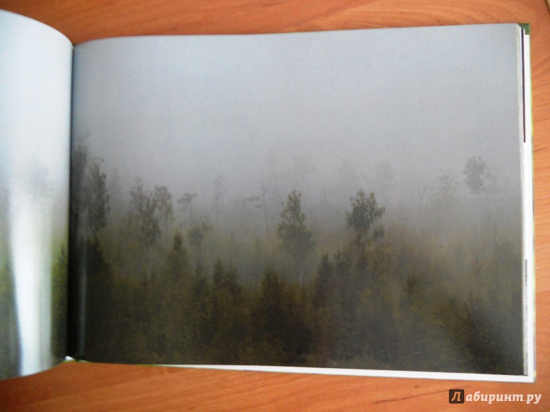 Иллюстрация 15 из 33 для Фотоальбом: 136 полос весны | Лабиринт - книги. Источник: Zabava