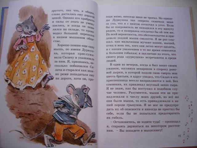 Иллюстрация 37 из 44 для Жизнь и удивительные приключения Мауса Мышинга, путешественника - Лев Черский | Лабиринт - книги. Источник: Осьминожка