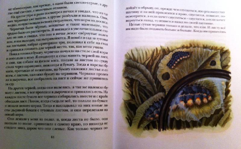 Иллюстрация 31 из 40 для Рассказы и сказки - Лев Толстой | Лабиринт - книги. Источник: masmar.su