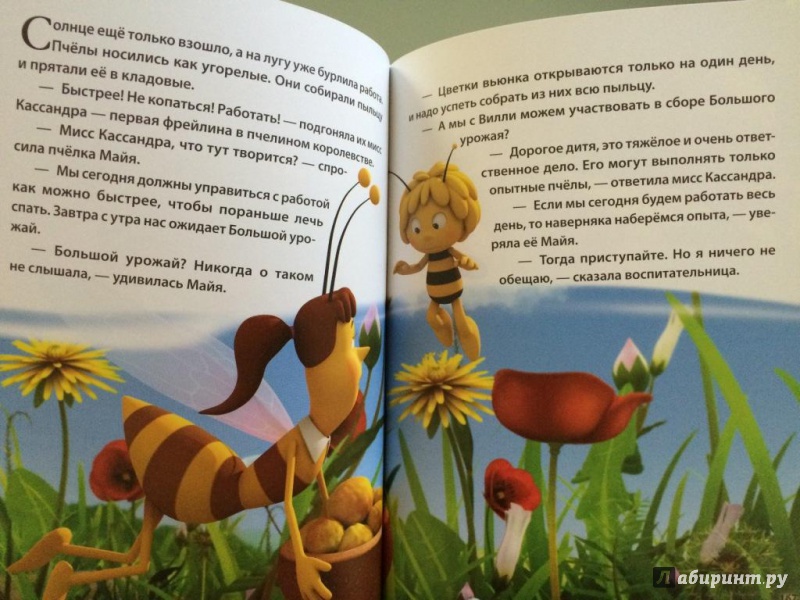 Иллюстрация 21 из 27 для Сказки о Пчёлке Майе. Золотая коллекция | Лабиринт - книги. Источник: Лиси
