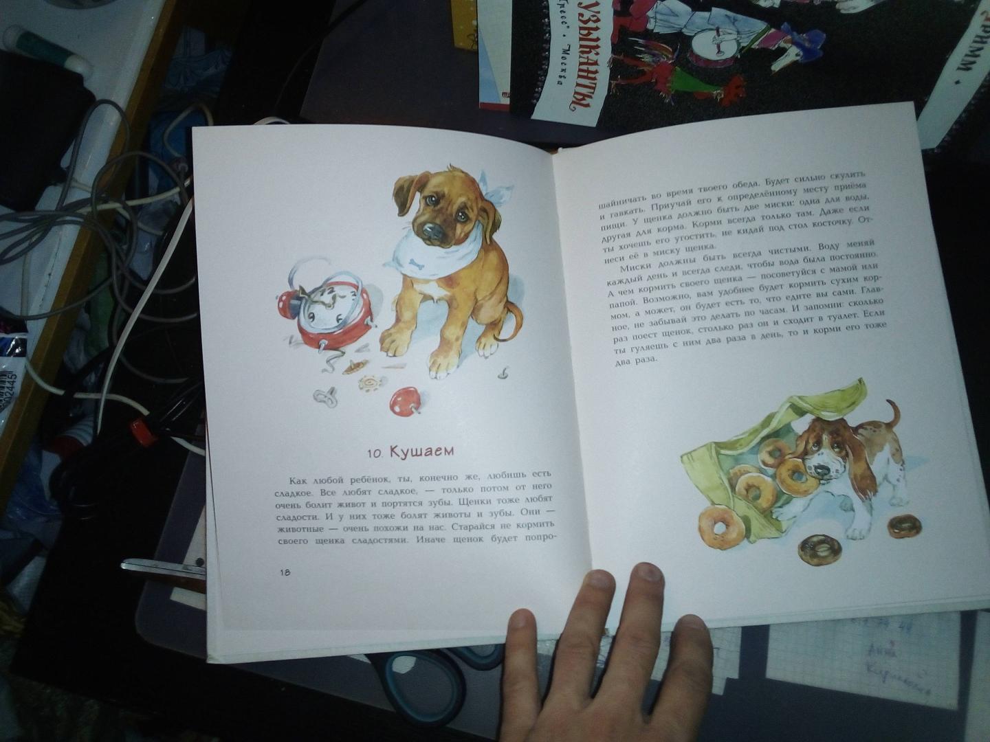 Иллюстрация 23 из 24 для У меня появился щенок - Анна Доброчасова | Лабиринт - книги. Источник: Лабиринт