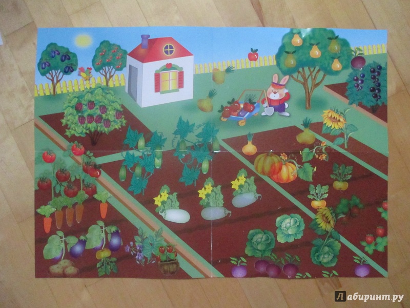 Иллюстрация 14 из 24 для Развивающий плакат-игра с многоразовыми наклейками "Во саду ли, в огороде" - М. Калугина | Лабиринт - игрушки. Источник: Fafenka