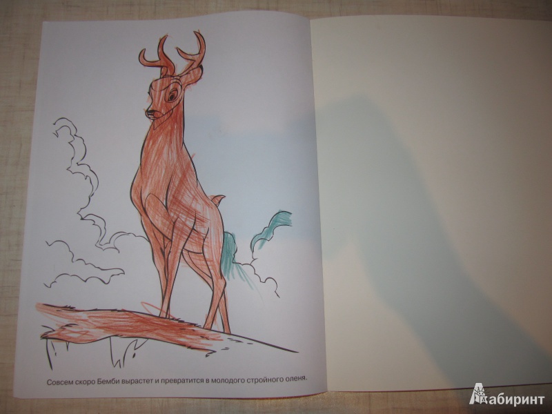 Иллюстрация 7 из 8 для Волшебная раскраска. Бемби (№1373) | Лабиринт - книги. Источник: Мурка