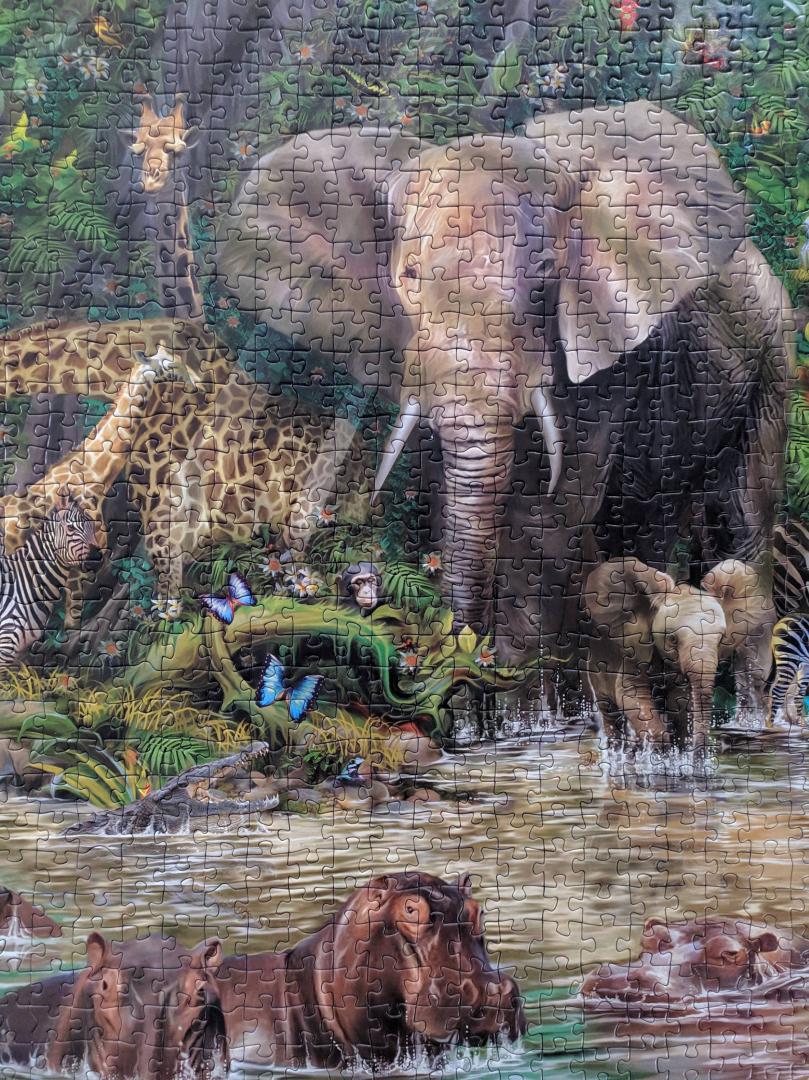 Иллюстрация 4 из 6 для Пазл-2000 "Африканские джунгли" (16013) | Лабиринт - игрушки. Источник: Фильварковая  Юлия Сергеевна