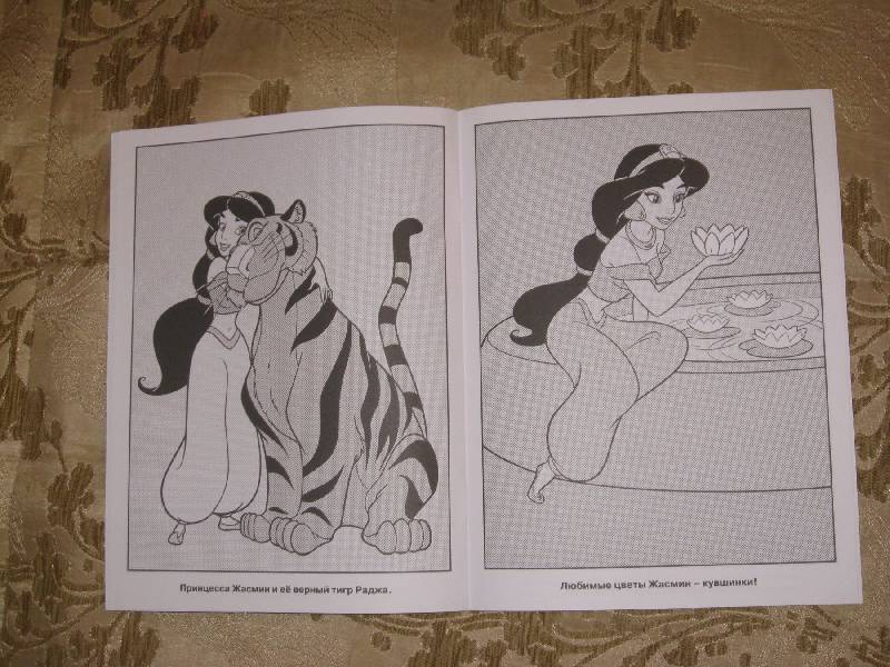 Иллюстрация 3 из 6 для Водная раскраска "Принцесса" (№ 1010) | Лабиринт - книги. Источник: Labetty