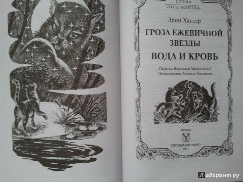 Иллюстрация 10 из 31 для Гроза Ежевичной Звезды. Вода и кровь - Эрин Хантер | Лабиринт - книги. Источник: Лабиринт