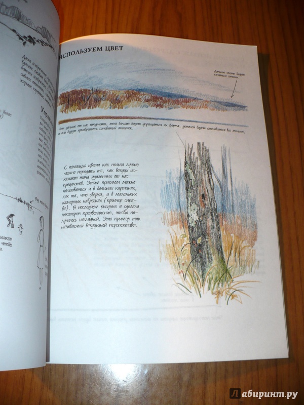 Иллюстрация 27 из 49 для Наброски и рисунок - Кэти Джонсон | Лабиринт - книги. Источник: Голиков  Сергей Юрьевич