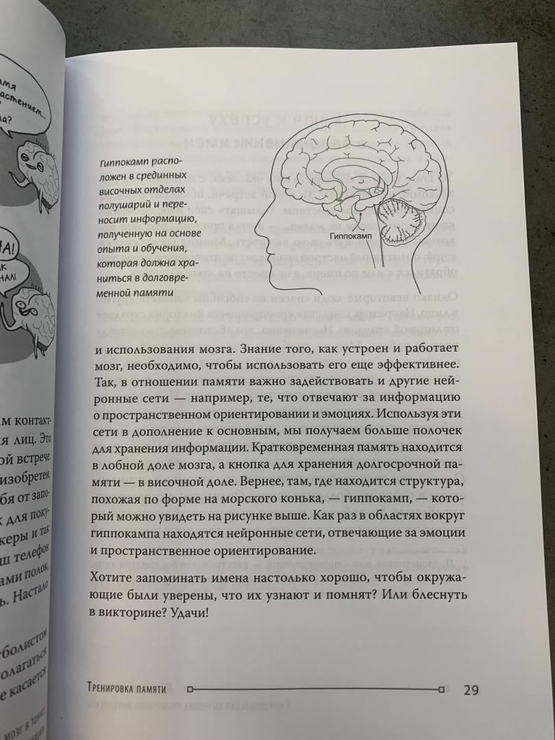 Иллюстрация 13 из 14 для Держи мозг в тонусе. Скандинавская методика тренировки интеллекта - Кайя Норденген | Лабиринт - книги. Источник: Лабиринт