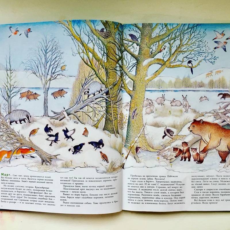 Иллюстрация 96 из 109 для В лесу - Петр Багин | Лабиринт - книги. Источник: Янцевич  Валерия