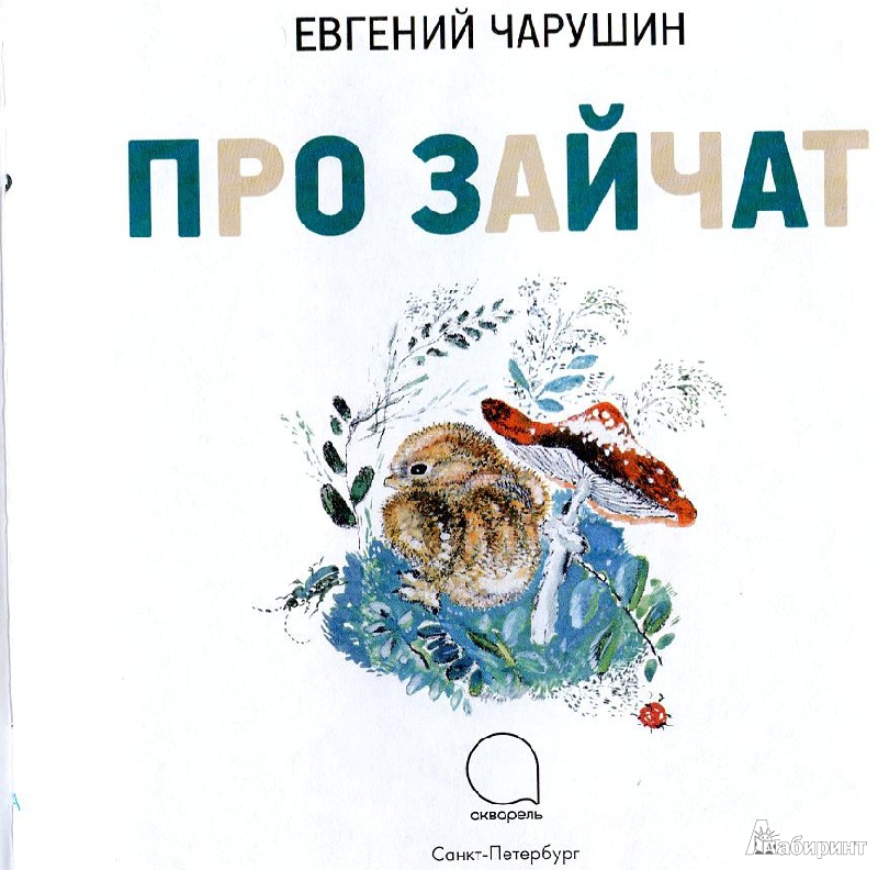 Иллюстрация 4 из 7 для Про зайчат - Евгений Чарушин | Лабиринт - книги. Источник: covaolya