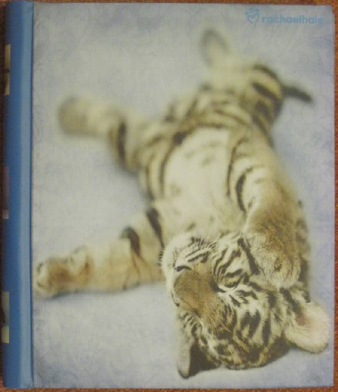 Иллюстрация 3 из 5 для Фотоальбом на 40 магнитных страниц "Tiger" (LM-SA20) | Лабиринт - сувениры. Источник: Лазарев  Илья Николаевич