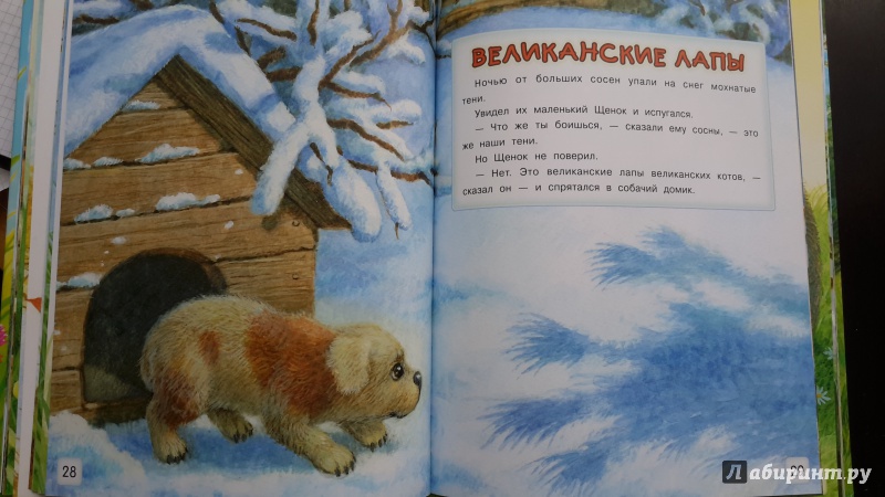 Иллюстрация 53 из 57 для Сказки-малышки - Геннадий Цыферов | Лабиринт - книги. Источник: Лабиринт