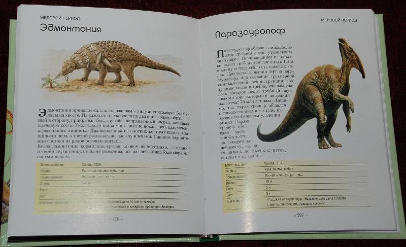 Иллюстрация 3 из 3 для Динозавры. Все, что вы хотели знать - Джерри Макколл | Лабиринт - книги. Источник: Lared