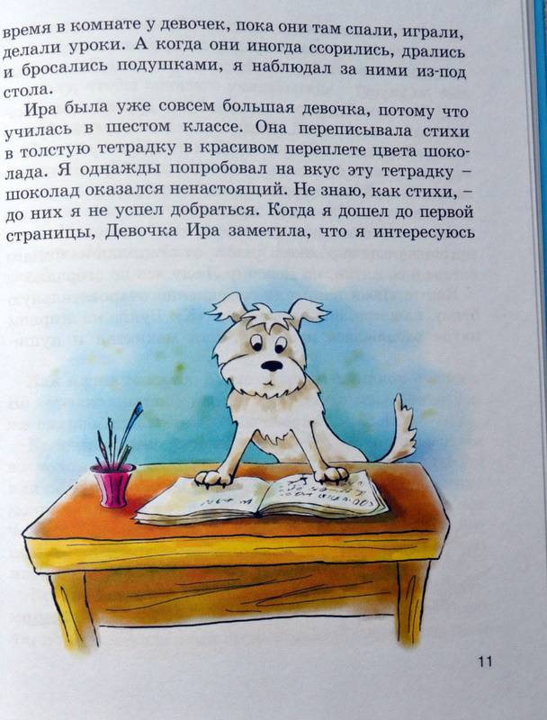 Иллюстрация 28 из 30 для Пух, летающая собака - Людмила Одинцова | Лабиринт - книги. Источник: Ассоль