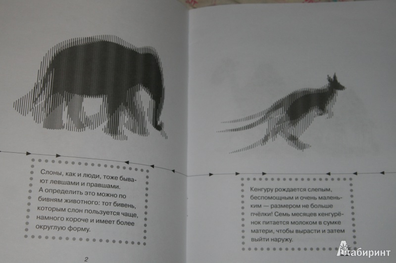 Иллюстрация 7 из 18 для Животные - Марта Дебуш | Лабиринт - книги. Источник: Кабанова  Ксения Викторовна