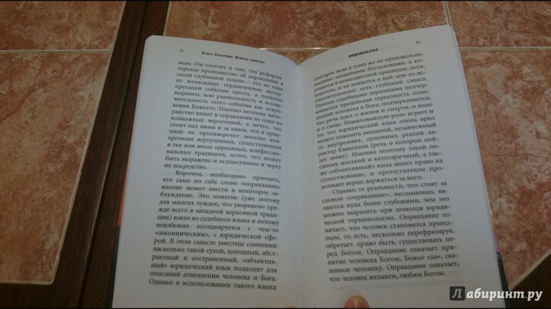 Иллюстрация 9 из 11 для Истина протеста. Дух евангелическо-лютеранской теологии - Антон Тихомиров | Лабиринт - книги. Источник: anka46