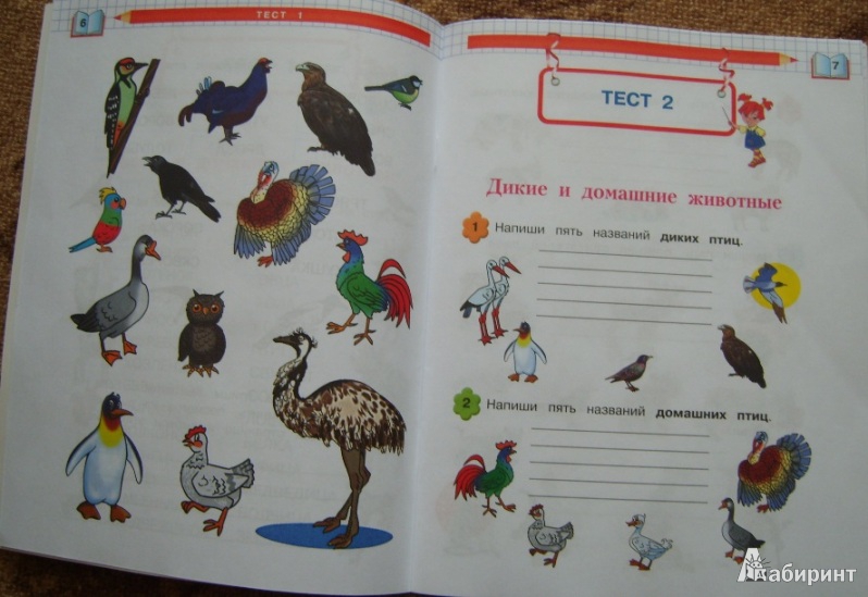 Иллюстрация 25 из 30 для Окружающий мир. Проверяем готовность к школе. Для детей 6-7 лет - Пятак, Мальцева | Лабиринт - книги. Источник: Tatka