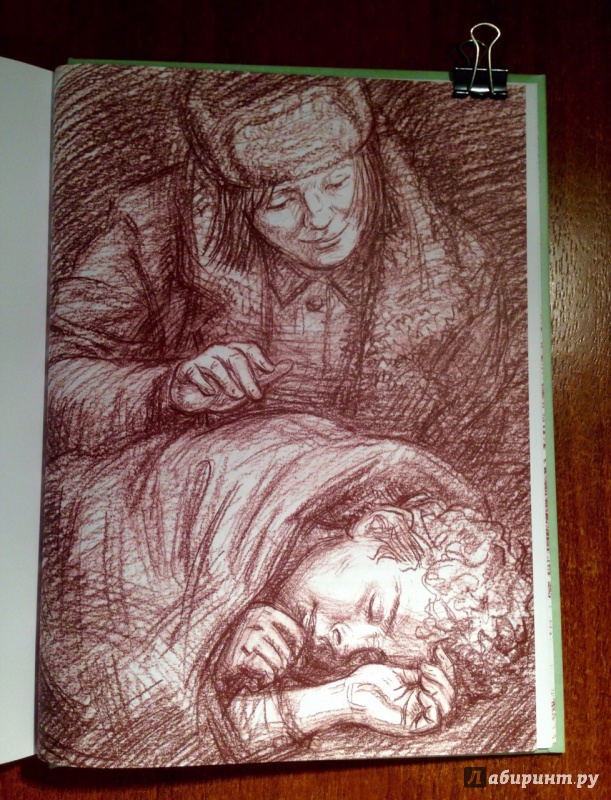 Иллюстрация 42 из 74 для Болотные робинзоны - Софья Радзиевская | Лабиринт - книги. Источник: Псевдоним