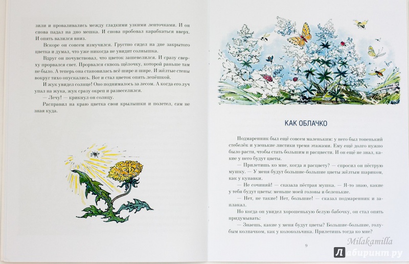 Иллюстрация 57 из 62 для Желтый, белый, лиловый - Нина Павлова | Лабиринт - книги. Источник: Букландия