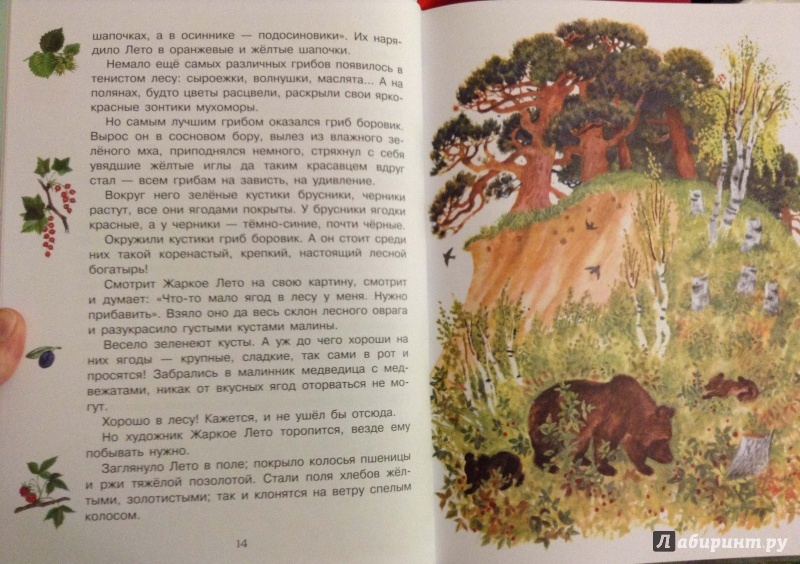 Соколов микитов русские сказки о природе 3 класс презентация