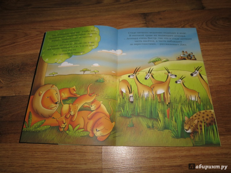 Иллюстрация 4 из 5 для Найди нас! Животные | Лабиринт - книги. Источник: Полунина  Надежда