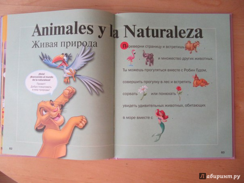 Иллюстрация 6 из 27 для Мои первые 1000 испанских слов с героями Disney | Лабиринт - книги. Источник: Данилова  Мария Александровна