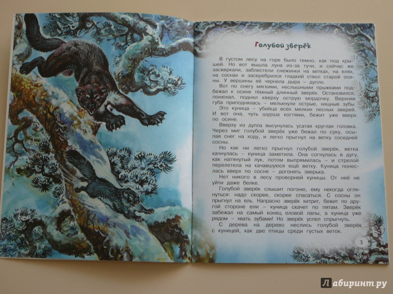 Иллюстрация 30 из 54 для Непонятный зверь - Виталий Бианки | Лабиринт - книги. Источник: Кирюшина  Татьяна Ивановна