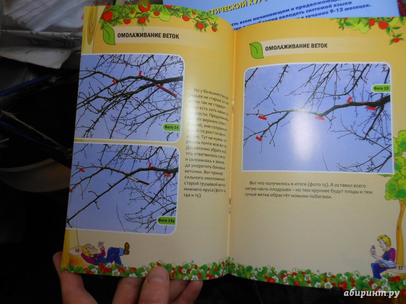 Иллюстрация 12 из 12 для Как омолодить постаревшее дерево - Николай Курдюмов | Лабиринт - книги. Источник: Савина  Евгения