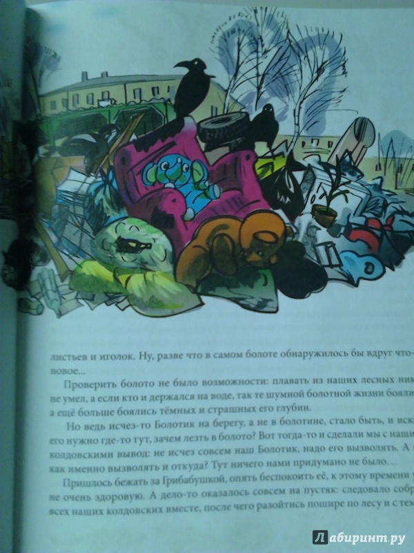 Иллюстрация 4 из 25 для Грибабушка, или Немножко колдовства - Андрей Зинчук | Лабиринт - книги. Источник: Lolo