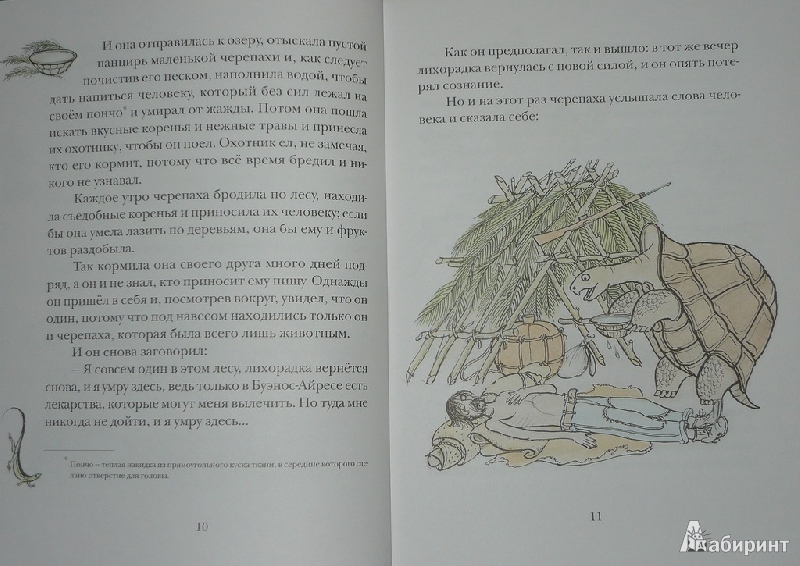 Иллюстрация 39 из 73 для Сказки сельвы: сказки о животных - Орасио Кирога | Лабиринт - книги. Источник: Ромашка:-)