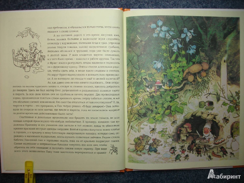 Иллюстрация 9 из 78 для В стране гномов - Эрих Хайнеманн | Лабиринт - книги. Источник: Сорокина  Лариса