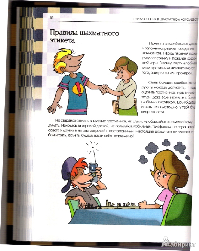 Иллюстрация 25 из 25 для Приключения в шахматном королевстве - Халас, Геци | Лабиринт - книги. Источник: Матуля