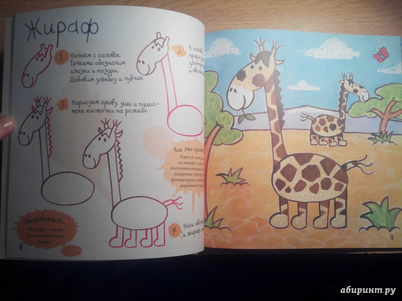 Иллюстрация 30 из 36 для Как нарисовать зебру и других животных - Марк Берджин | Лабиринт - книги. Источник: Александра Джейлани
