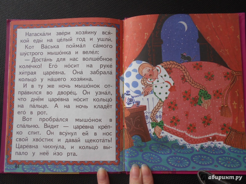 Иллюстрация 12 из 24 для Волшебное кольцо | Лабиринт - книги. Источник: Мезенцева  Нина Владимировна