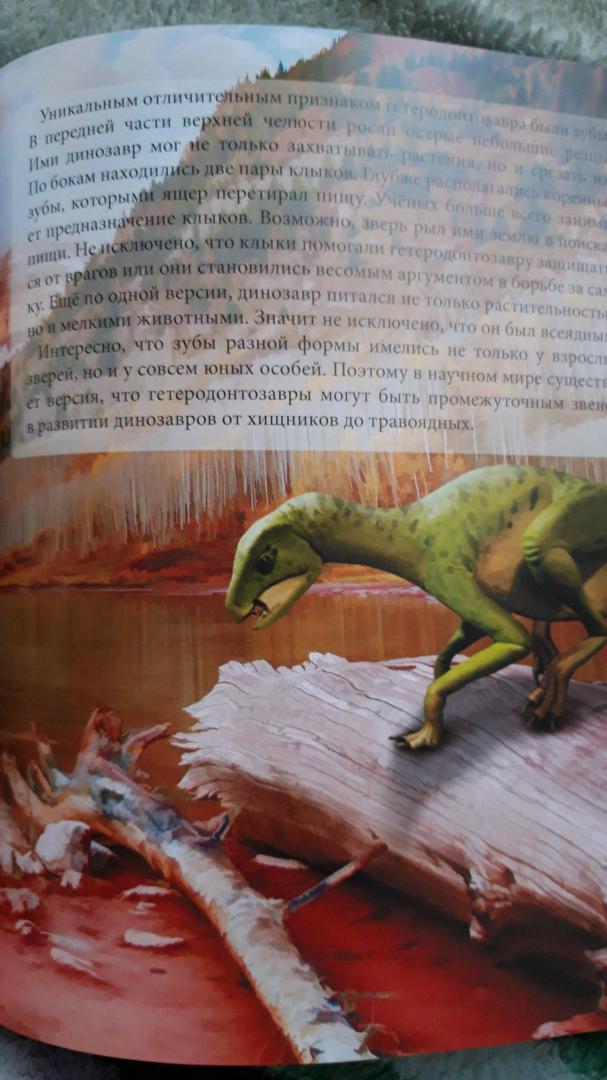 Иллюстрация 35 из 36 для Динозавры - Ирина Астапенко | Лабиринт - книги. Источник: Костюченко Лилия