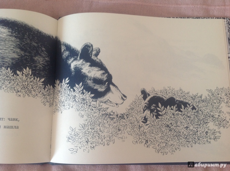 Иллюстрация 59 из 61 для Черника для Саши - Роберт Макклоски | Лабиринт - книги. Источник: К  Анна