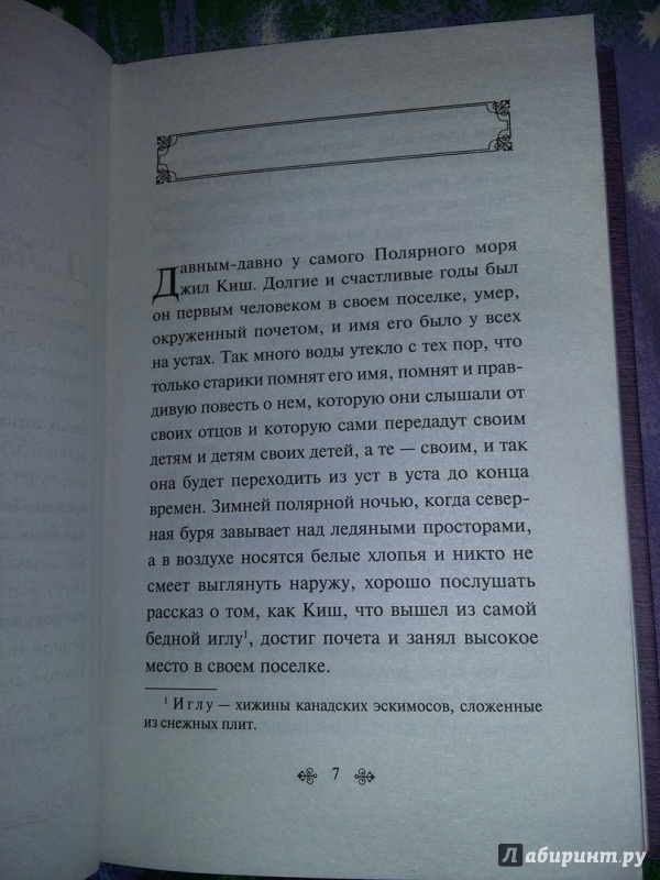 Иллюстрация 15 из 33 для Белый клык - Джек Лондон | Лабиринт - книги. Источник: Пономарёва  Мария